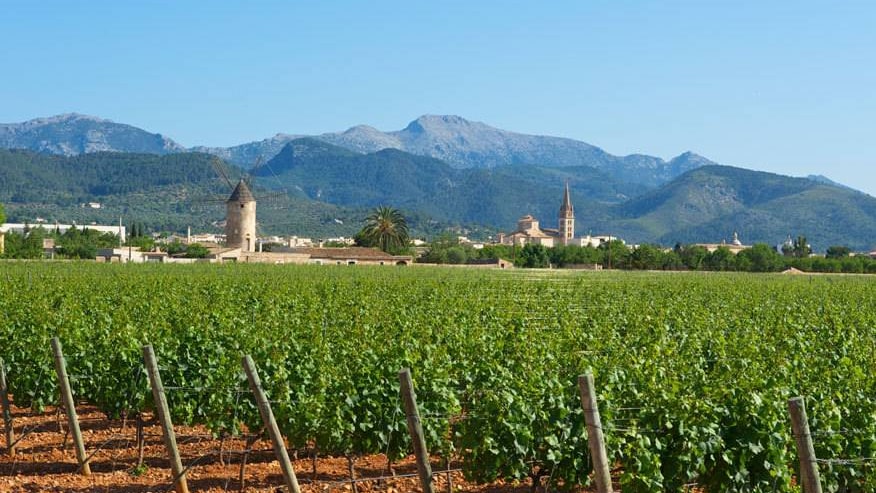 Weinreben, Berge und hübsche Dörfer: Mallorcas Inselmitte ist wunderschön