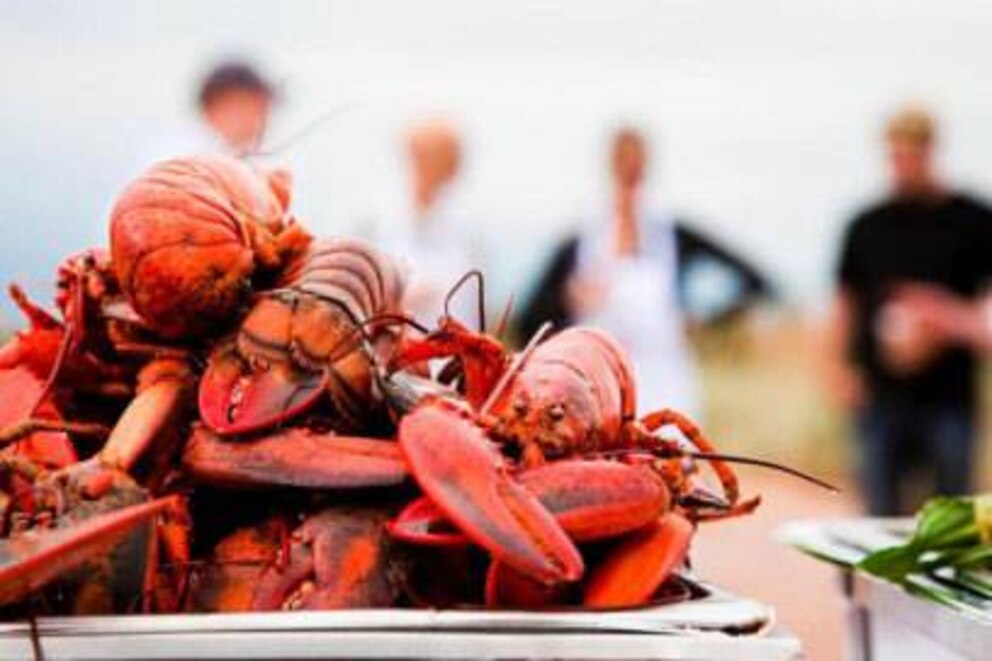 Die Hummer von Prince Edward Island sind weithin bekannt