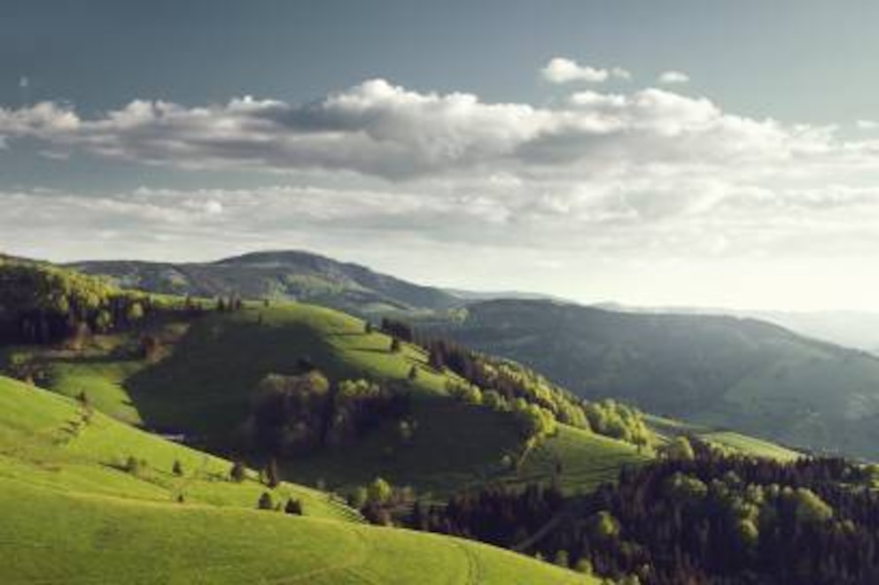 Alles so schön grün hier – kein Wunder, dass Touristen vom Schwarzwald begeistert sind