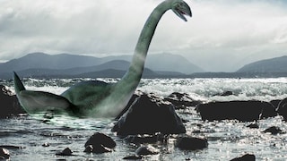 So in etwa soll er aussehen, der argentinische „Nessie“. Sein Revier: Der Nahuel-Hapi-See in Argentinien.