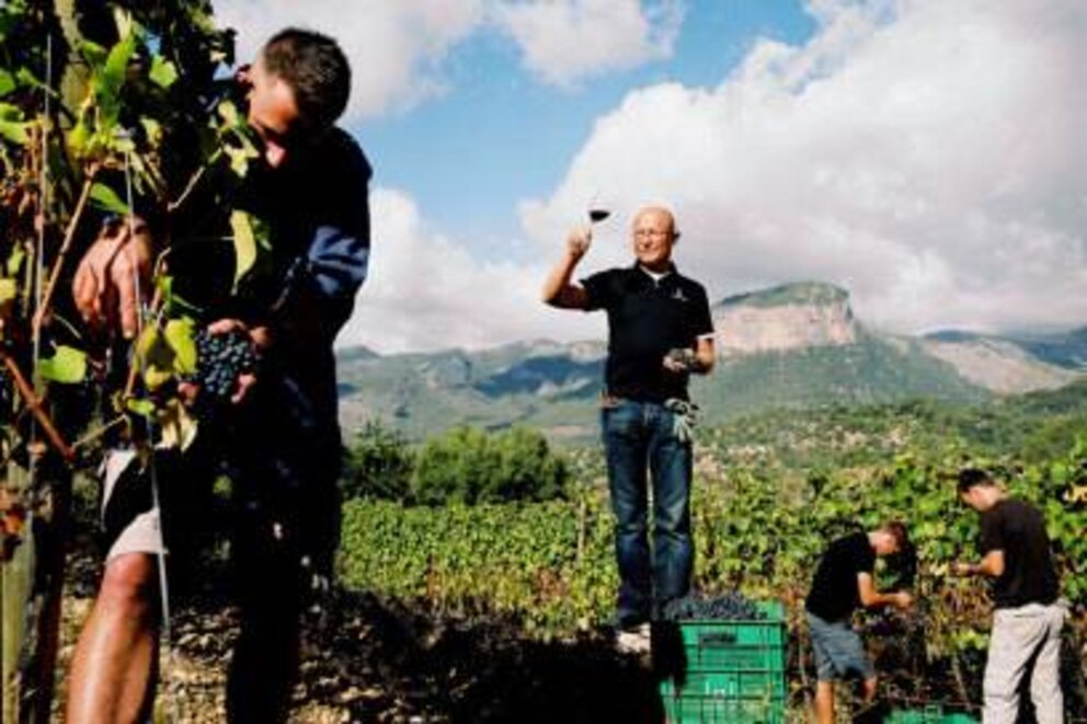 Prof. Karl Popp in seinem Weinberg auf Mallorca bei der Verkostung des neuesten Tropfens