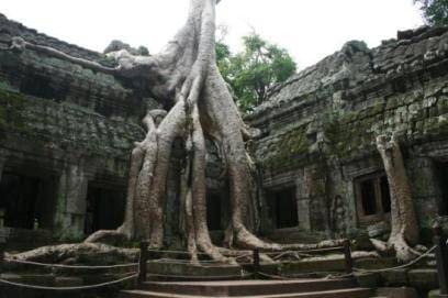 The temple complex Ta Prohm in Cambodia