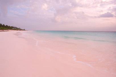 Korallen färben den Strand auf den Bahamas pink