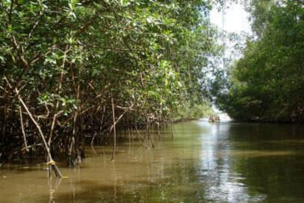 Im Parnaíba-Flussdelta