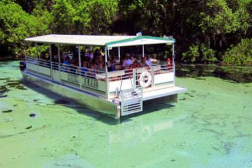 Auf einer Bootstour kann man den Fluss erkunden