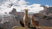 Peru eignet sich bestens für eine erste Reise in Südamerika
