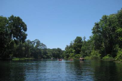 Den Rainbow River mit kristallklarem Wasser kann man gut mit dem Kajak erkunden