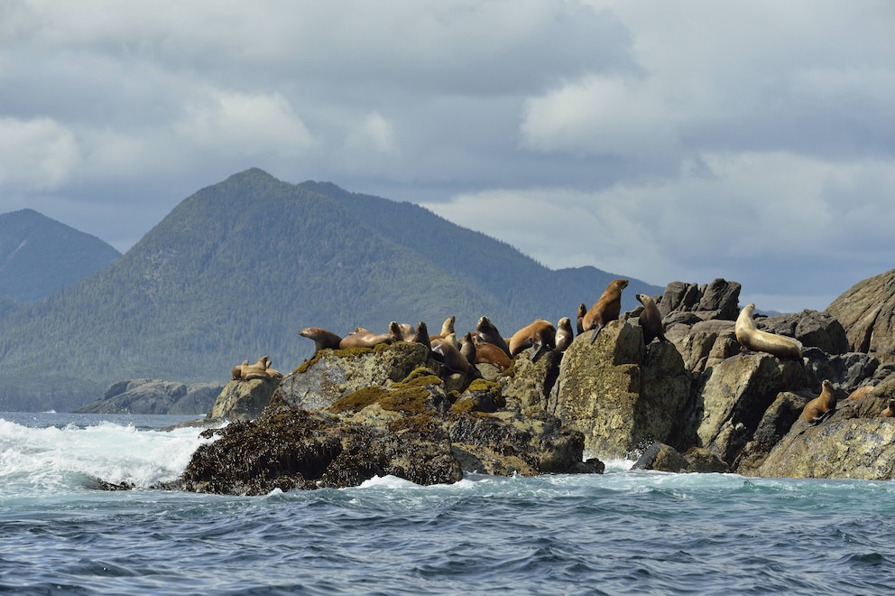 Haida Gwaii