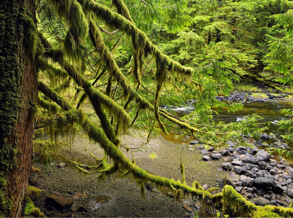 Haida Gwaii