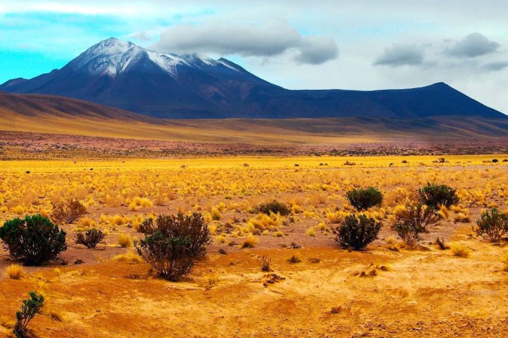 Die Wüstenstadt Calama liegt auf einem Zwischenhochplateau mitten in der Atacama-Wüste. Mit einem Jahresniederschlag von 0 Millimetern ist die Stadt einer der trockensten Orte der Erde. Entsprechend kahl ist das Umland und zugegeben: Für Touristen gibt es hier nicht allzu viel zu sehen außer den großen gelben Ball am Himmel. Die Kupfermine im 15 Kilometer entfernten Chuquicamata – die größte der Welt – soll sehr sehenswert sein. Außerdem kann man nach Salar de Atacama und den Geysiren bei El Tatio reisen