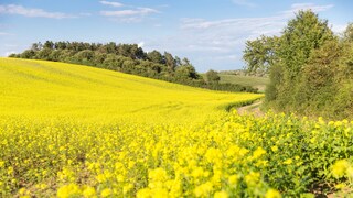 Uckermark