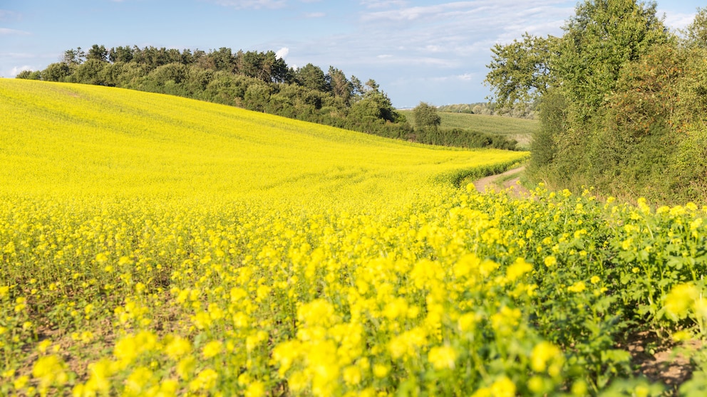 Uckermark