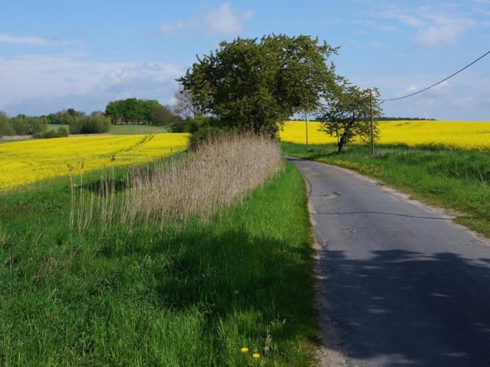 Radweg in der Uckermark