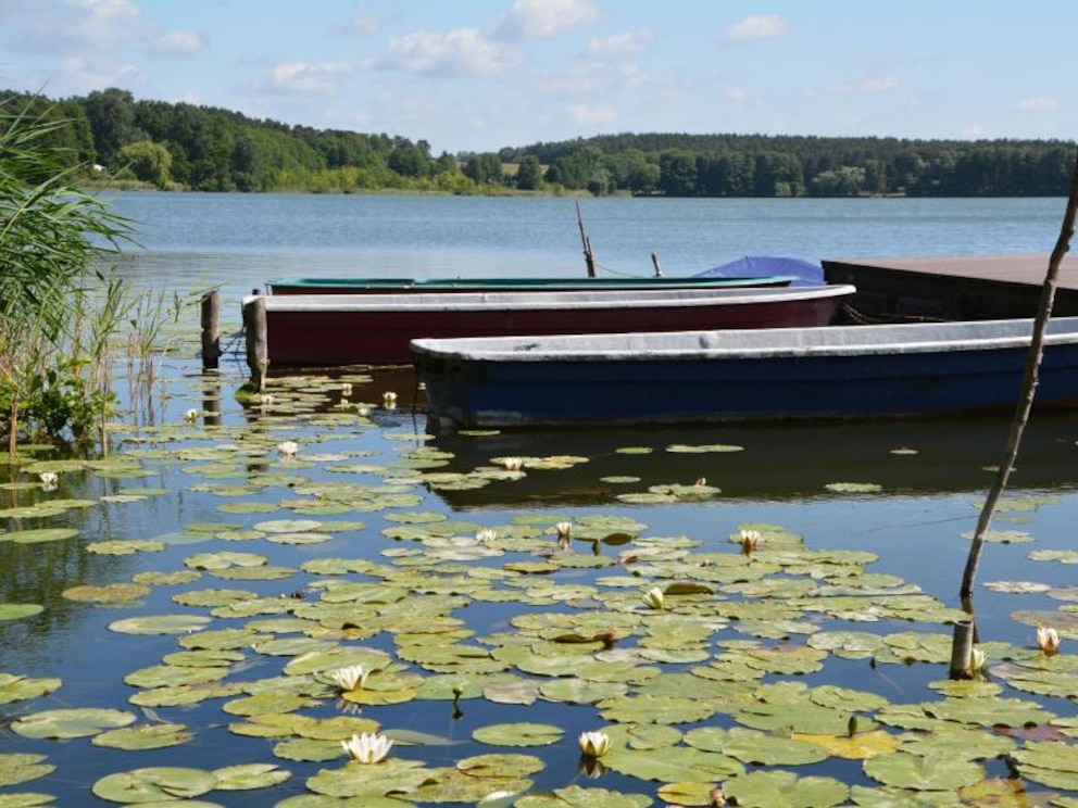 Oberpfuhlsee Uckermark