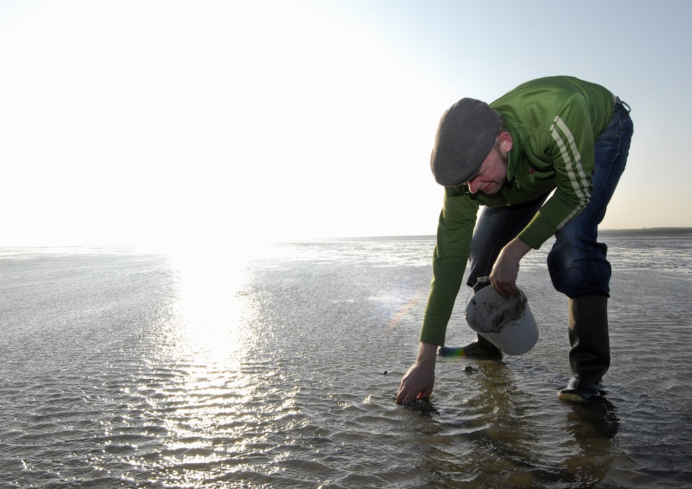  Flang Cupido sucht am Wasser nach Schätzen für seine Küche - er hat in Hoorn, einem der Dörfer auf Terschelling, ein eigenes Kochstudio