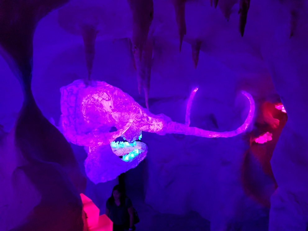 Meow Wolf Santa Fe