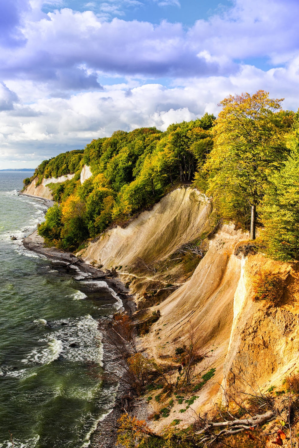 Eine Naturschönheit: die Kreidefelsen auf Rügen