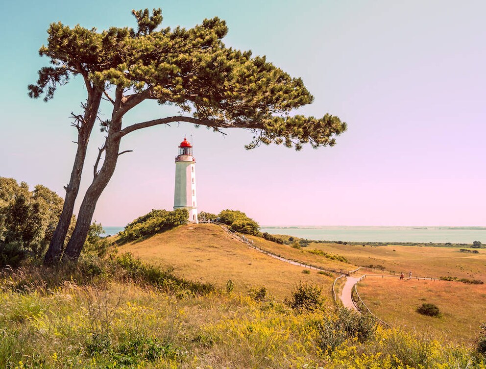 Leuchtturm auf Hiddensee