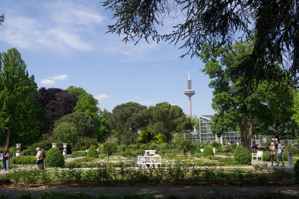 Frankfurt am Main, Palmengarten