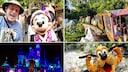 Jeff Reitz, Disneyland täglich Besucher