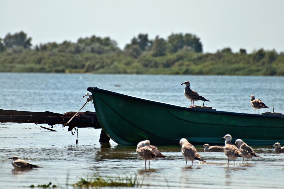 gefährdete UNESCO-Welterben, Donaudelta