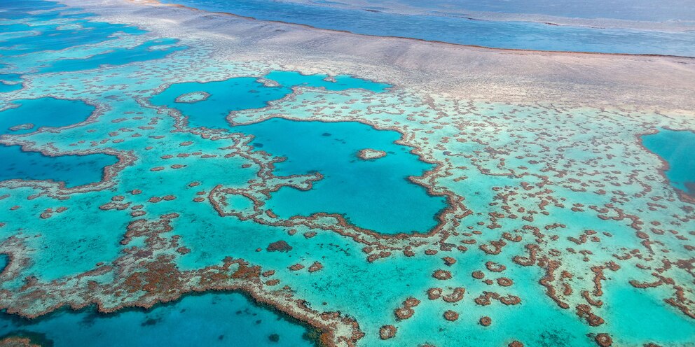 Kurz vor dem Ende: Das Great Barrier Reef hat kaum noch Chancen, sich vollständig zu erholen<br>Foto: Getty Images