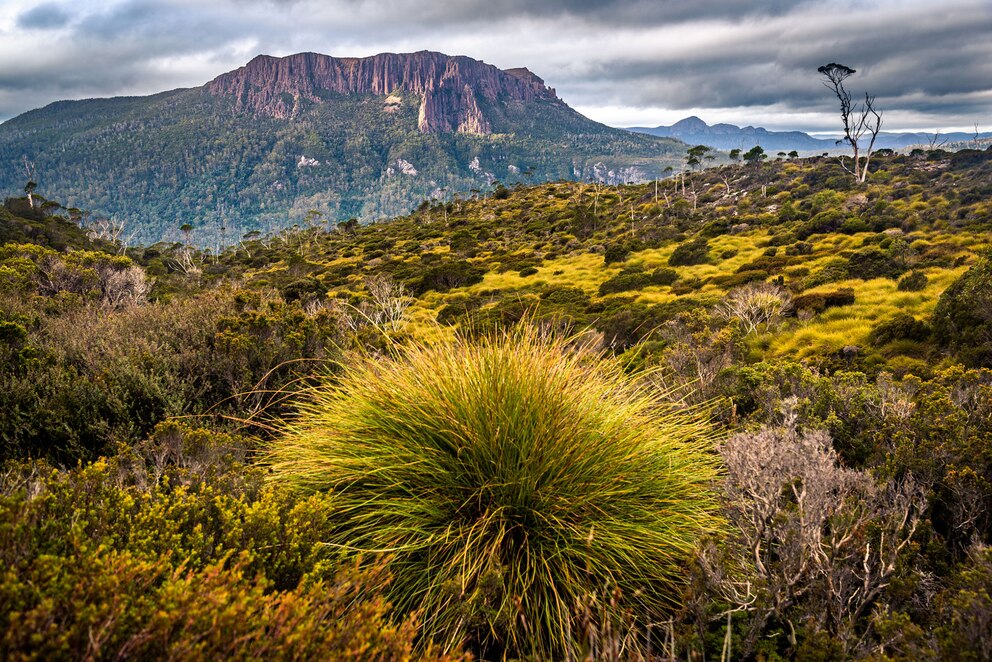 gefährdete UNESCO-Welterben, Tasmanien