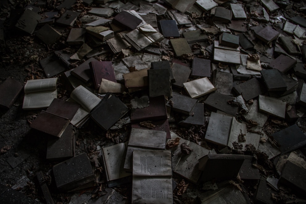 North Brother Island, New York