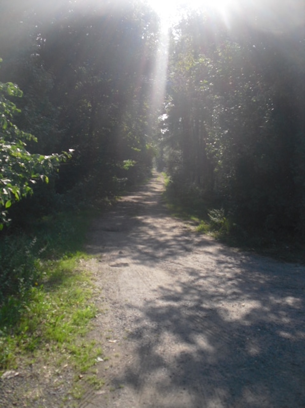 Brieselanger Licht