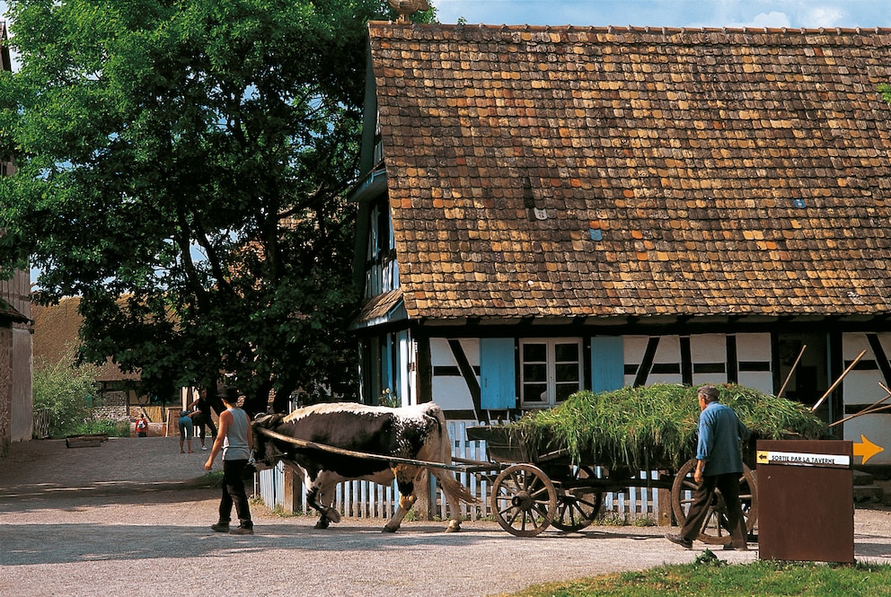 Ungersheim