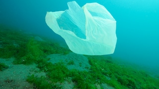 Plastikmüll, Plastiktüten in Kenia