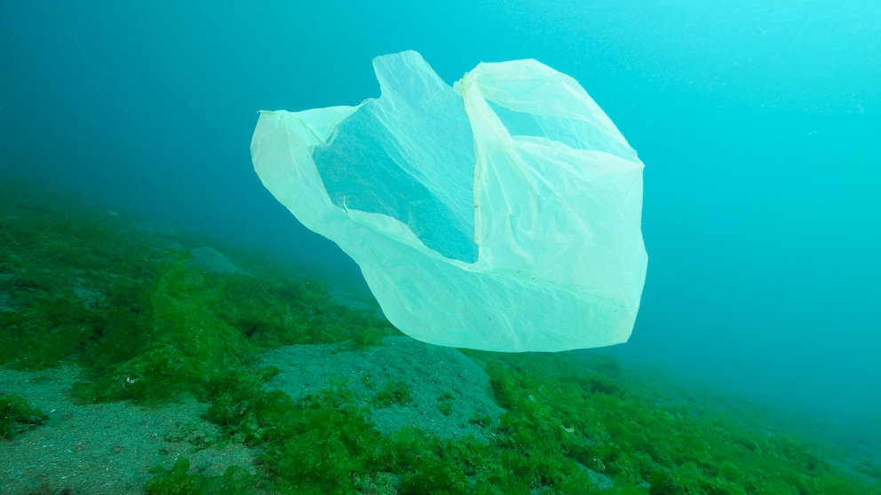 Plastikmüll, Plastiktüten in Kenia