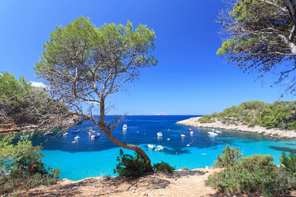 Cala Salada Beach auf Ibiza