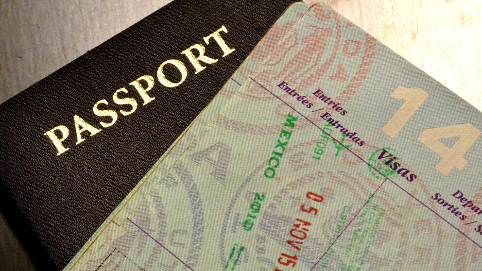 Pass, Passport, Ausweis, Visum