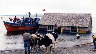 So verrückt ist das Umziehen auf Chiloé
<a href="http://www.panoramio.com/photo/43123043" target="_blank">rodoluca</a> / <a href="https://creativecommons.org/licenses/by-sa/3.0/deed.en" target="_blank">CC BY-SA 3.0
</a>
