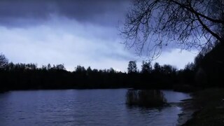 Brieselanger Licht