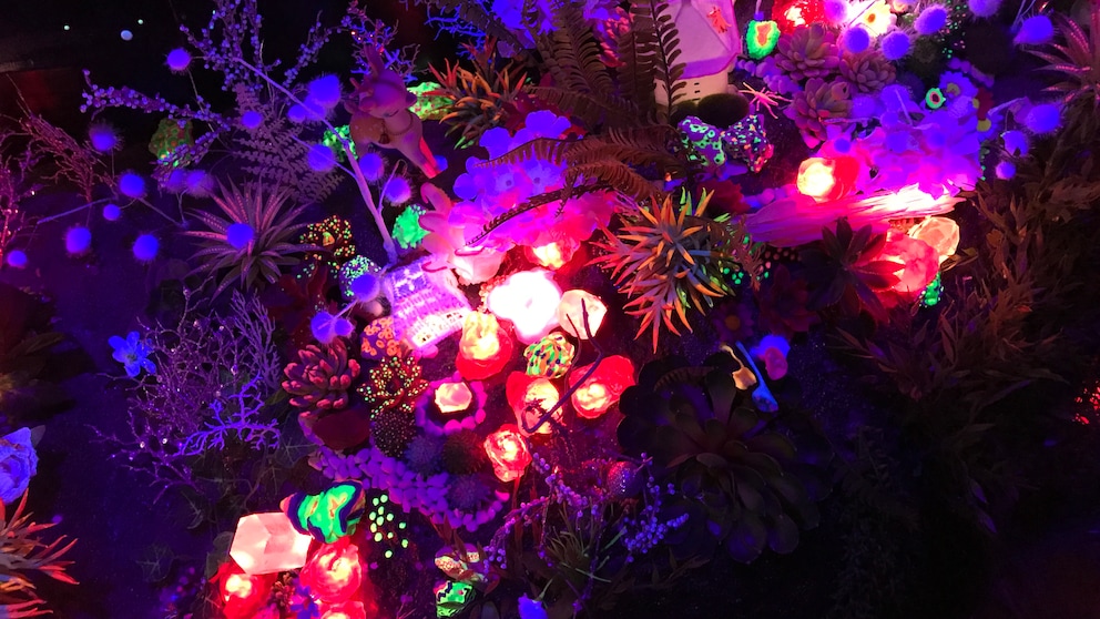Meow Wolf zeigt Installationen wie aus einer anderen Welt. Foto: Flickr/Steve Terrell/CC BY 2.0