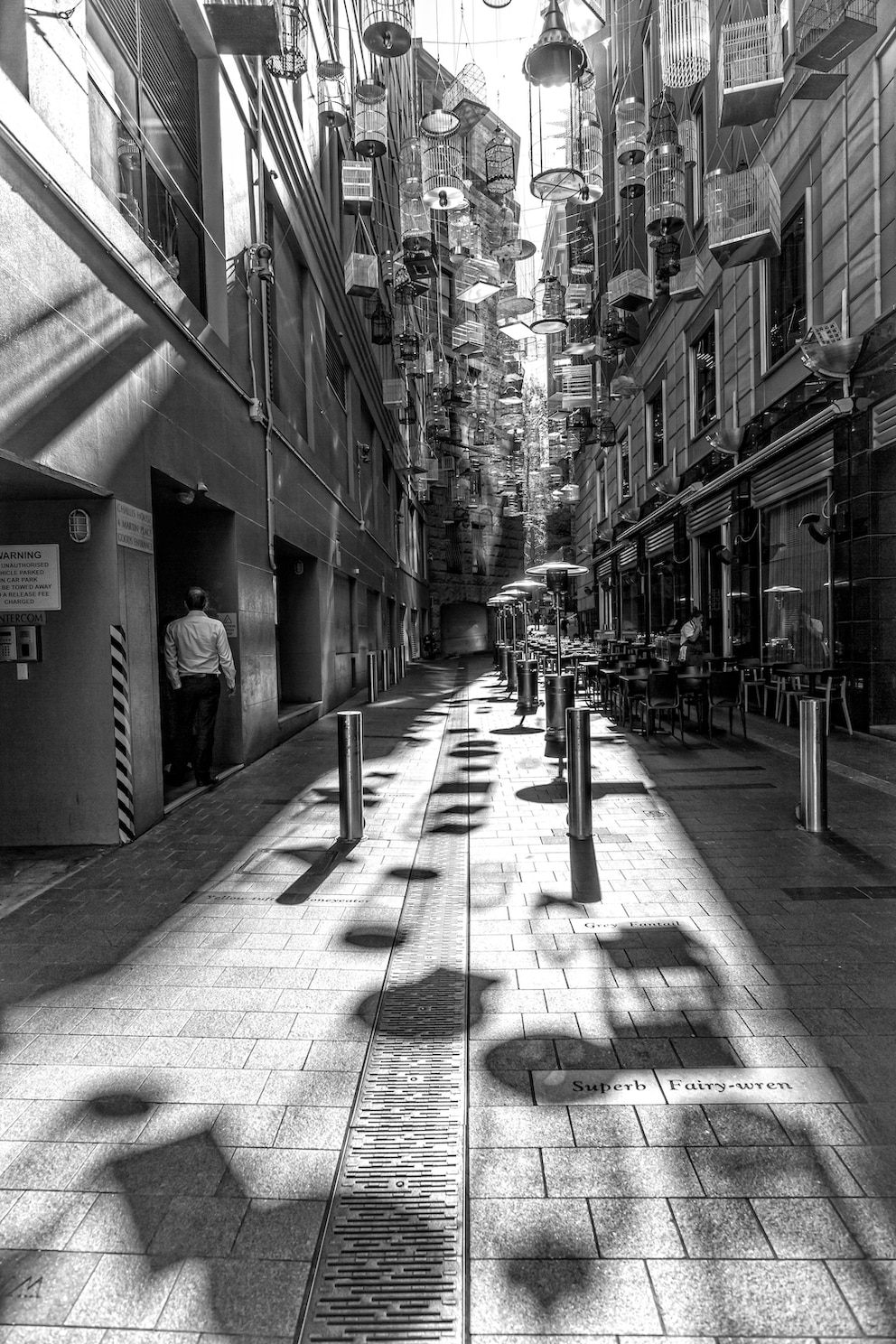 Guck mal, wer da piepst! Nur: Die Käfige über den Köpfen der Passanten von Angel Place in Sydney sind – leer