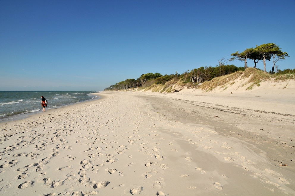  Der Weststrand auf der Halbinsel Fischland-Darß-Zingst wurde von den TRAVELBOOK-Lesern zum schönsten Strand Deutschlands gewählt