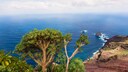 Ursprüngliche, zum Teil bizarre Landschaften, wenig Touristen – das ist El Hierro
