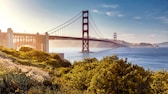 Die berühmte Golden Gate Bridge ist das wohl berühmteste Wahrzeichen San Franciscos