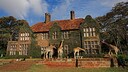 Im kenianischen „Giraffe Manor“ kann es schon mal vorkommen, dass eine Giraffe ihren Kopf durch das Zimmerfenster steckt