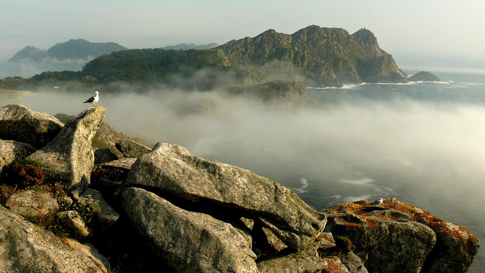 San Martiño Insel, Galizien