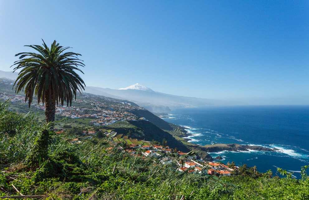 Die grüne Küstenlandschaft Teneriffas mit dem Teide im Hintergrund