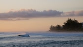 La Réunion, das französische Übersee-Département im Indischen Ozean, ist zwar nicht durchweg gefährlich. Doch sollte sich in Acht nehmen, wer vor der Insel badet oder surft – denn hier lauert eine große Population von Haien. Vor allem seit 2011 kommt es immer wieder zu Haiangriffen vor der Westküste, fünf davon gingen für den Menschen tödlich aus. Statistisch gesehen ist die Wahrscheinlichkeit, vor La Réunion von einem Hai attackiert zu werden, sogar 1000-mal höher als etwa in Australien oder Nordamerika.