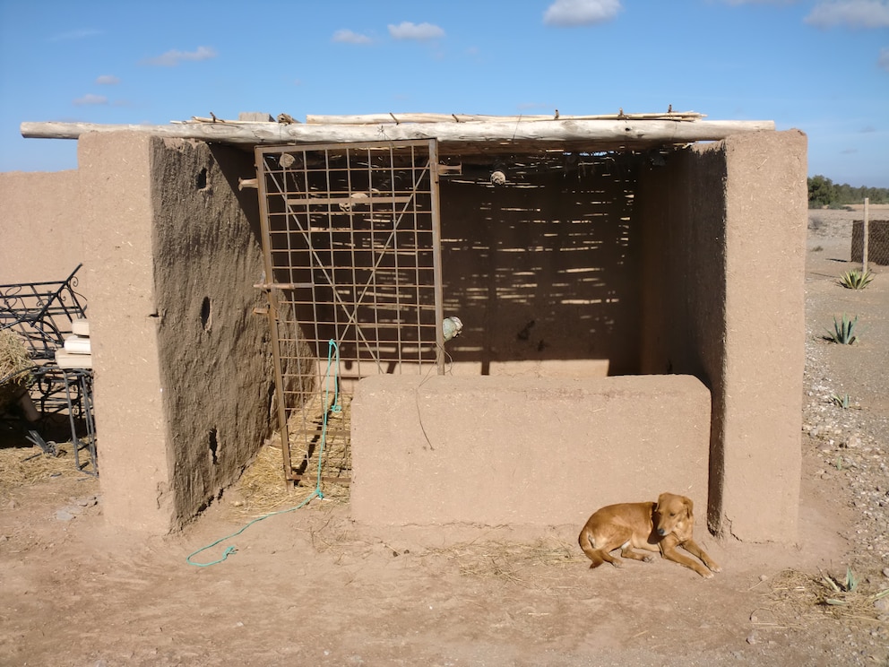 Gnadenhof Marokko, Marrakesch