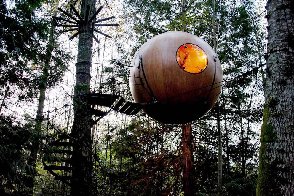 Baumhaus im Free Spirit Spheres