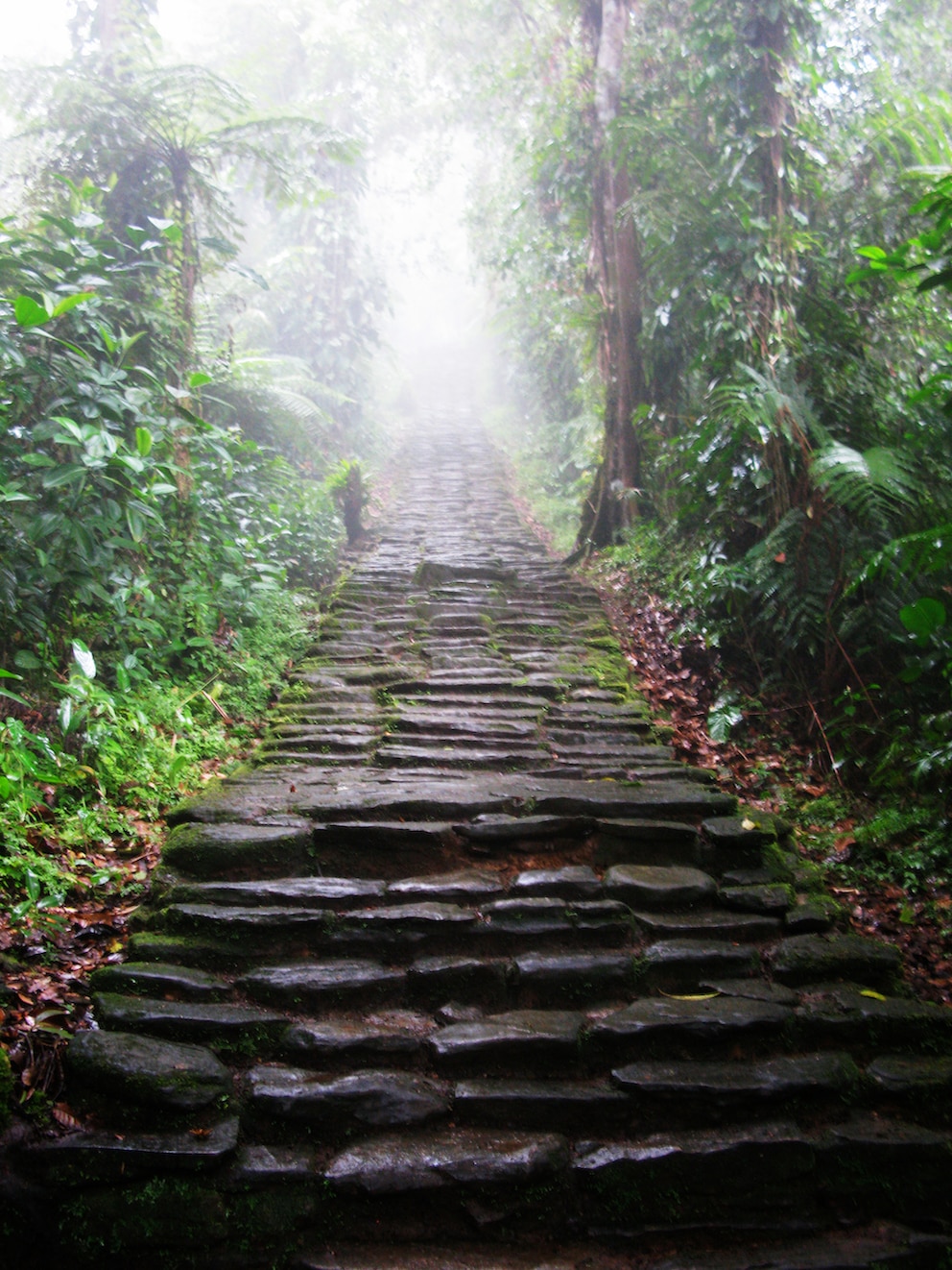 Ciudad Perdida