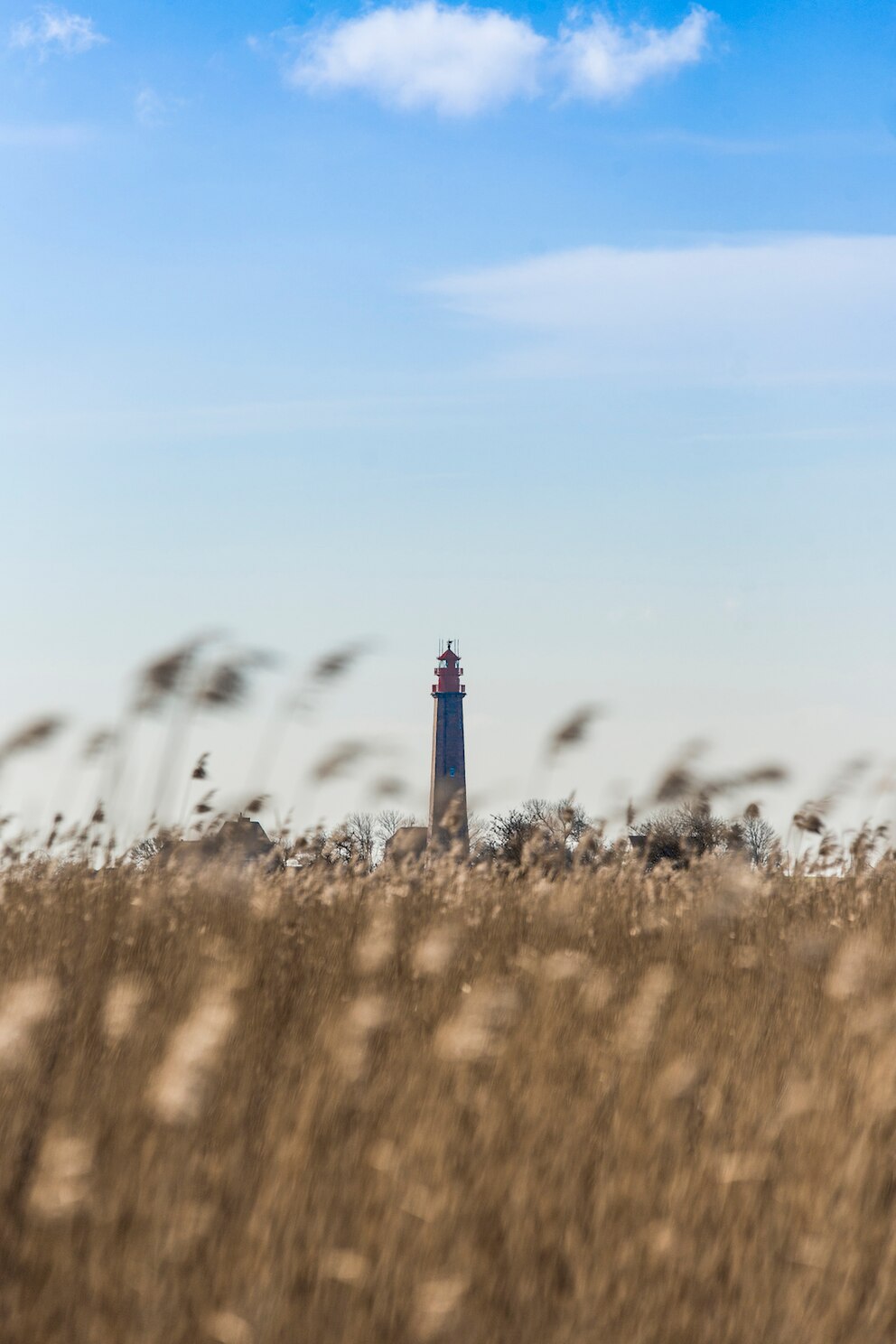 Der Leuchtturm Flügge auf Fehmarn