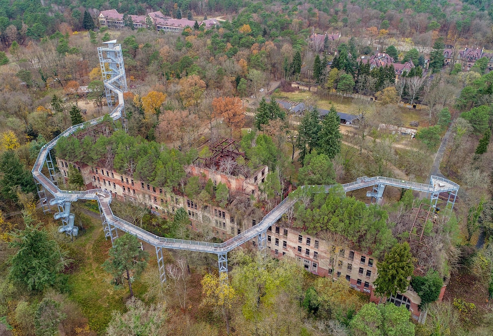 Baumkronenpfad Beelitz